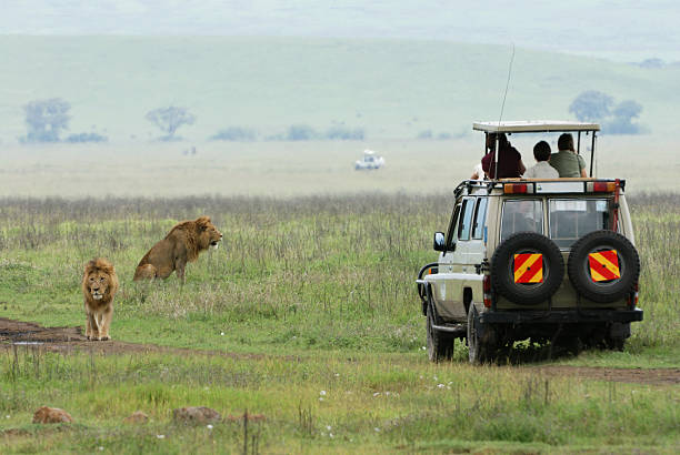  Small Group Safari Tanzania 2026–2027 